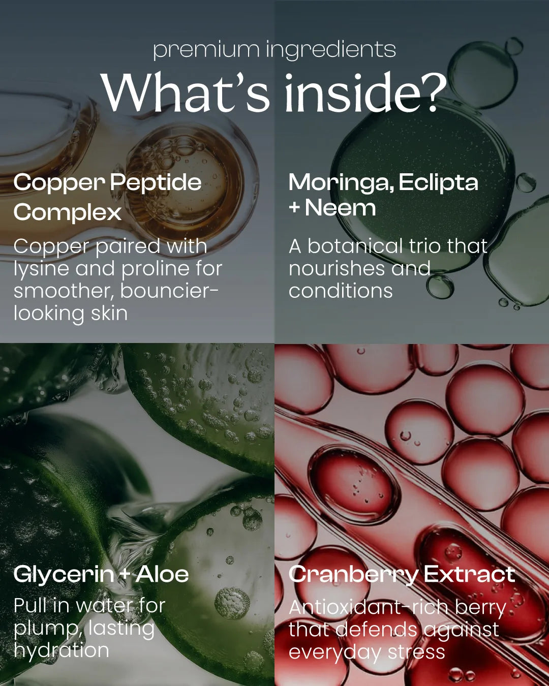Radiant® BerryPeptide Plumping Moisturizer