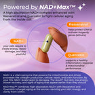 Longevity Pro NAD+ Komplex