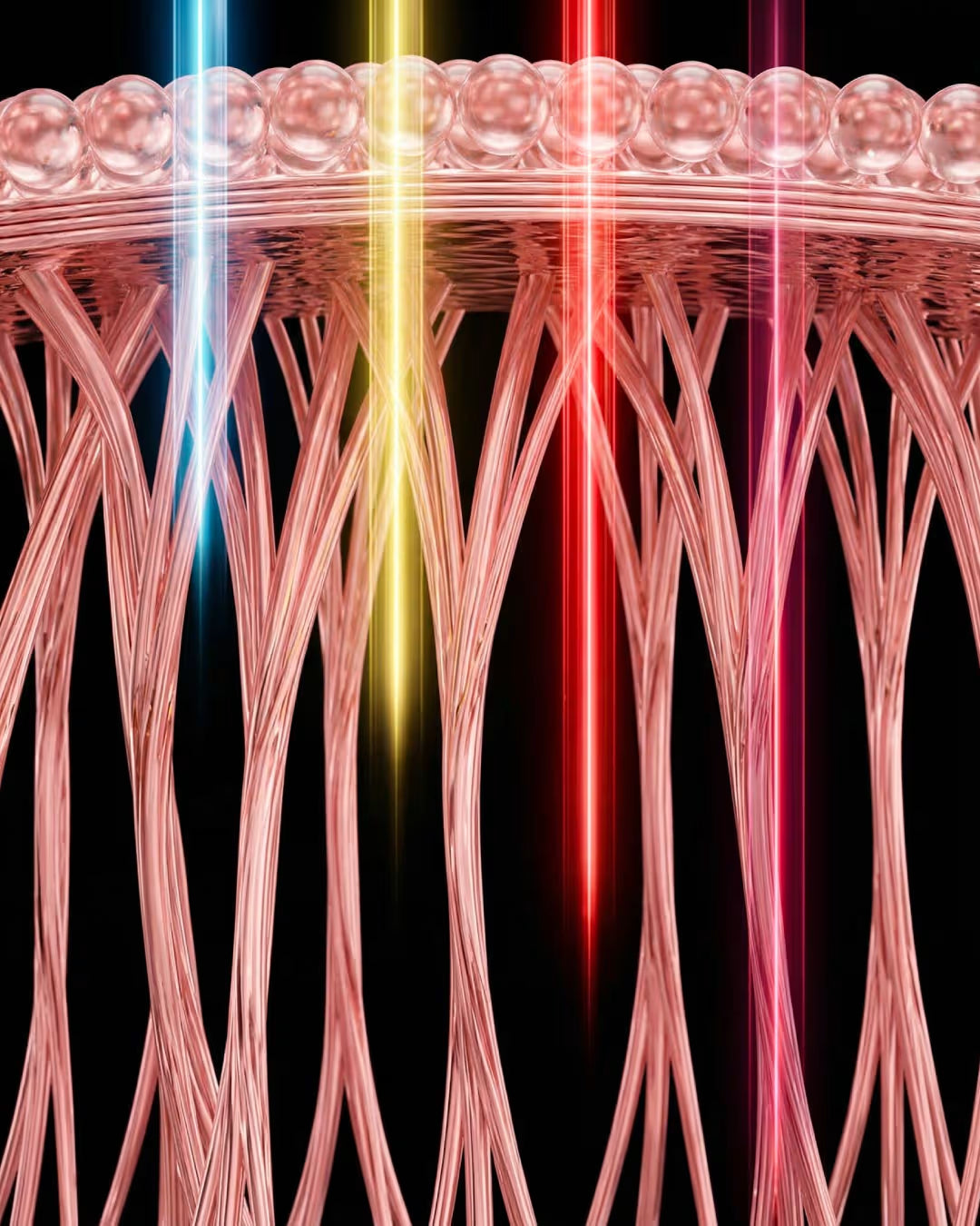 4 clinically studied wavelengths target different layers of skin